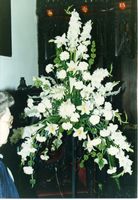 Flower Festival 1986