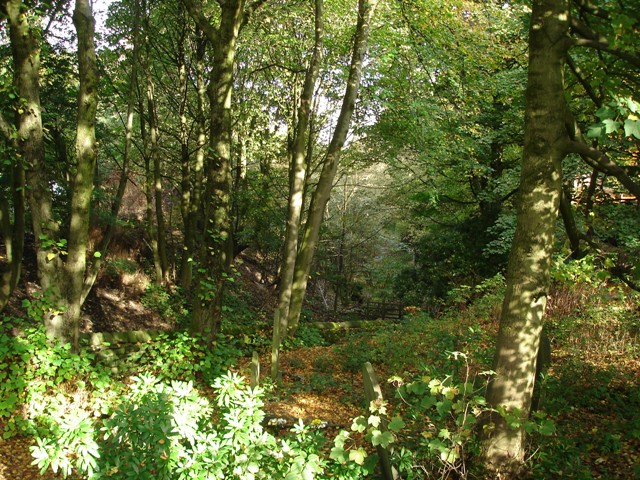 Clough looking from Junction Road