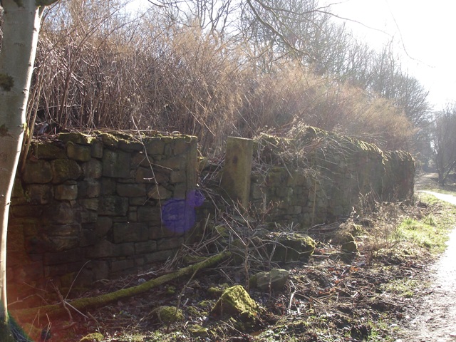 Clough looking from Junction Road