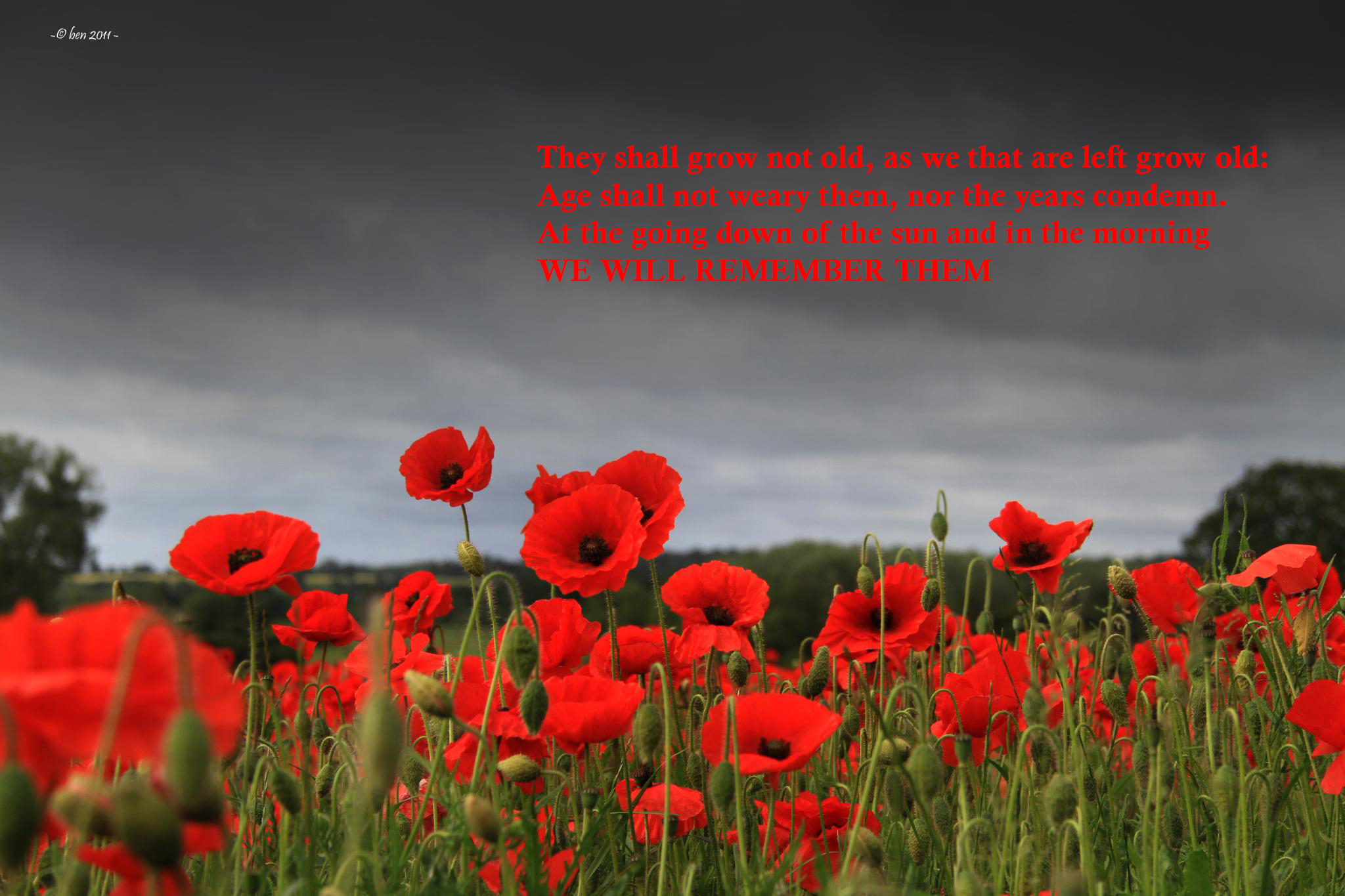 copyright: http://www.beyondthepoint.co.uk/property/remembrance-day/